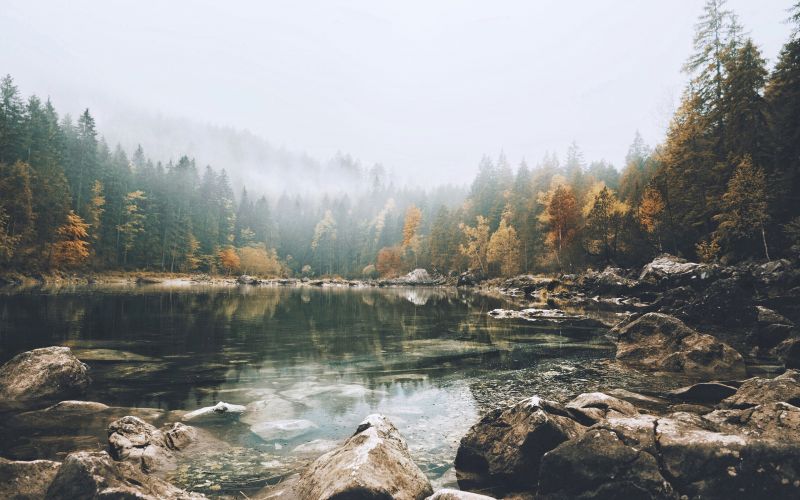 2560x1600 px, krajina, jezero, stromy 2560x1600 px, krajina, jezero, stromy