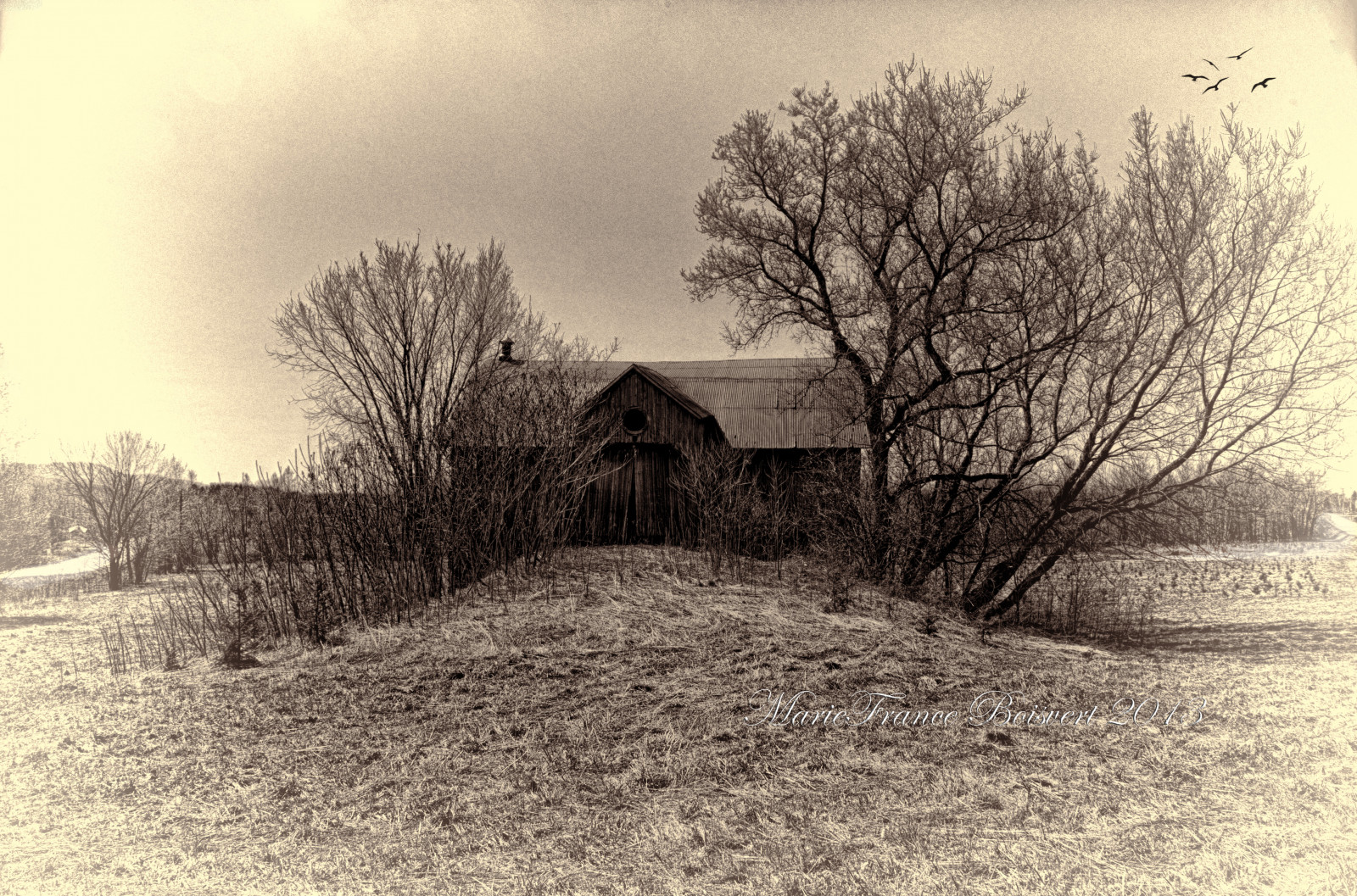 Wallpaper : sunlight, landscape, sky, snow, winter, wood, branch, house