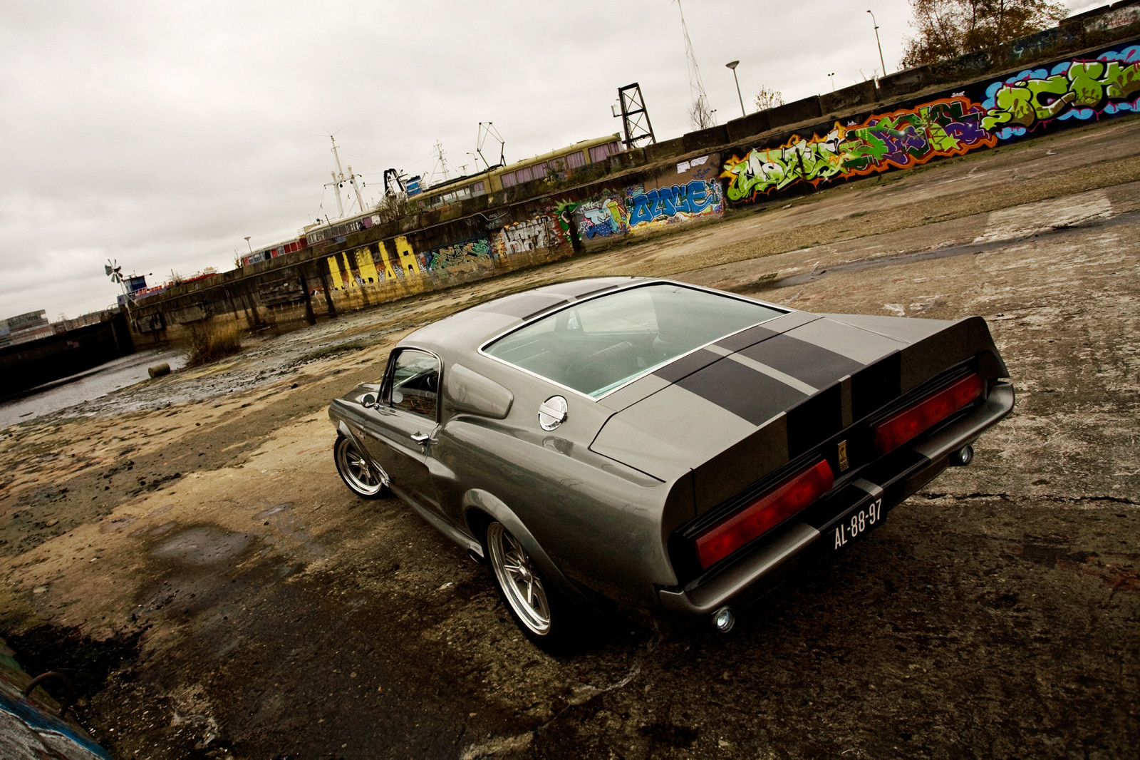 Guado, Shelby, eleanor, GT 500