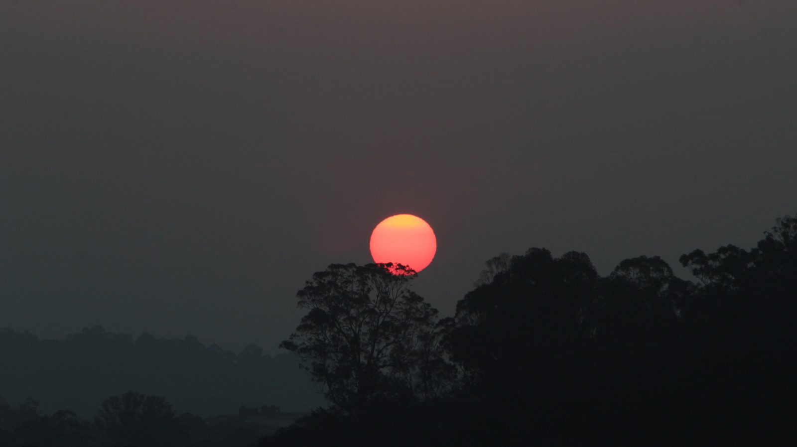 luce del sole, alberi, paesaggio, tramonto, notte, cielo, Alba, Luna, mattina, Sole, chiaro di luna, atmosfera, crepuscolo, nube, alba, oscurità, fenomeno atmosferico, atmosfera della terra, oggetto astronomico, Luna piena, evento celeste