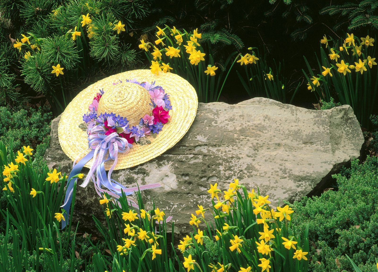 Wallpaper daffodils, flowers, stones, hat, green 1600x1150