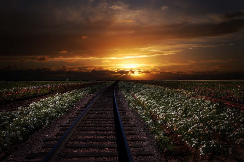 sunlight, sunset, nature, sky, field, clouds sunlight, sunset, nature, sky, field, clouds