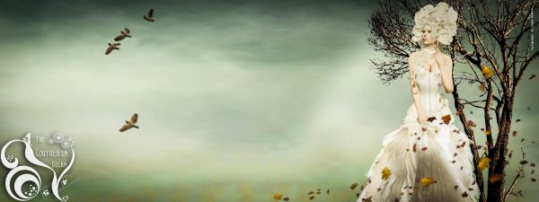 love, grass, sky, branch, life, tree