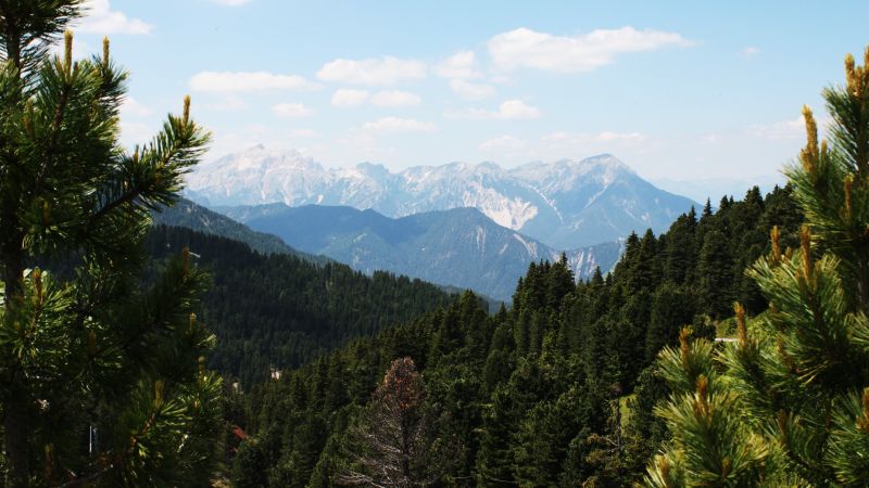 landscape, forest, nature, green, valley, national park landscape, forest, nature, green, valley, national park