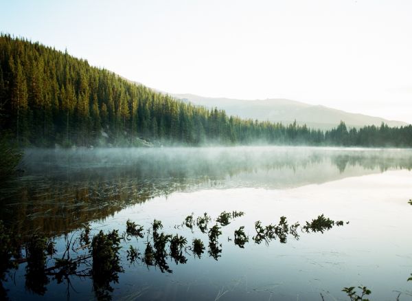 landscape,forest,lake,nature,sunlight,water
