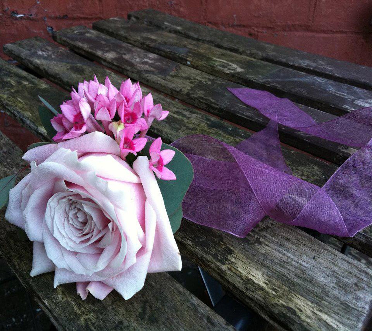 blomster, lilla, lyserød, KUNST, blomst, plante, flora, kronblad, jord plante, blomstrende plante, blomster, blomsterbuket, blomsterbinding, blomstret design