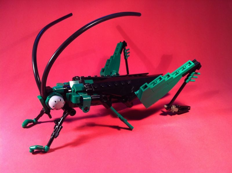 insekt,græshoppe,LEGO,mech,teknologi,insekt
