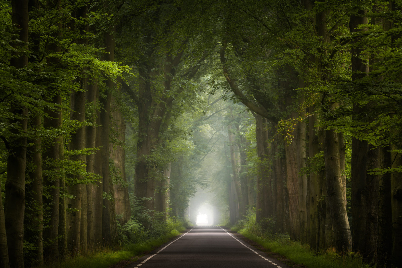 Wallpaper seasons, road, trees 2000x1334 Evelio510 1207725 HD