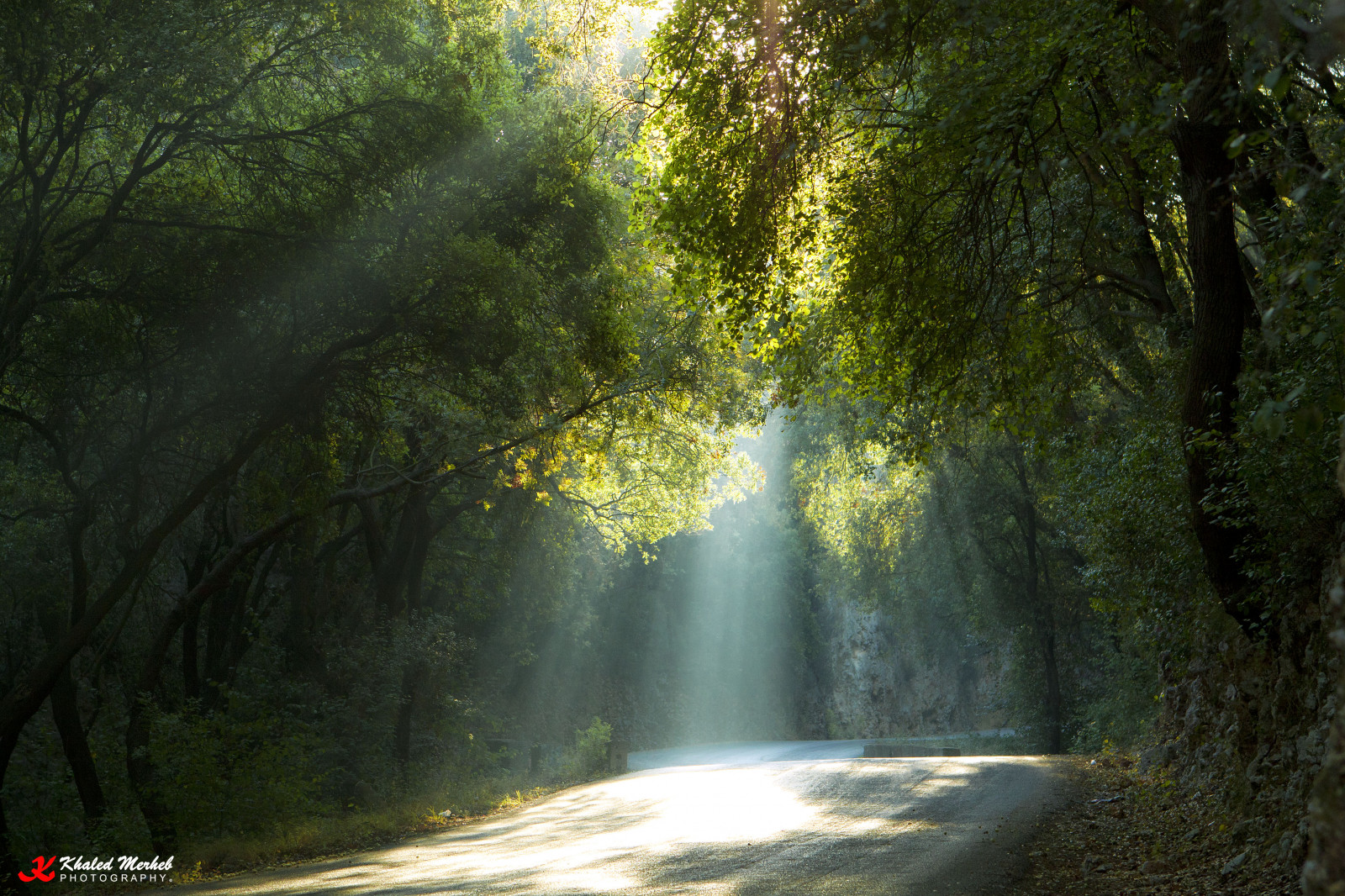 slunečnímu záření, stromy, les, vodopád, voda, Příroda, odraz, zelená, ráno, mlha, řeka, džungle, proud, deštný prales, Libanon, světlo, strom, podzim, list, květ, rostlina, sezóna, ngc, 100commentgroup, zálesí, lightrays, místo výskytu, přírodní prostředí, atmosférický jev, dřevina, prales, vodní prvek, Liban, northlebanon, Hamat
