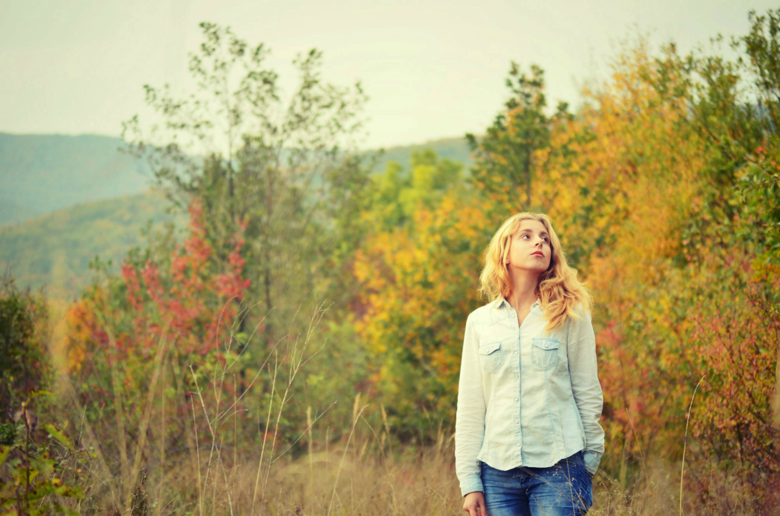 sollys, blond, solnedgang, natur, fotografering, morgen, vår, Slovakia, romanse, tre, høst, blomst, vill, årstid, fotografi, eng, portrettfotografering, fotografering, seremoni