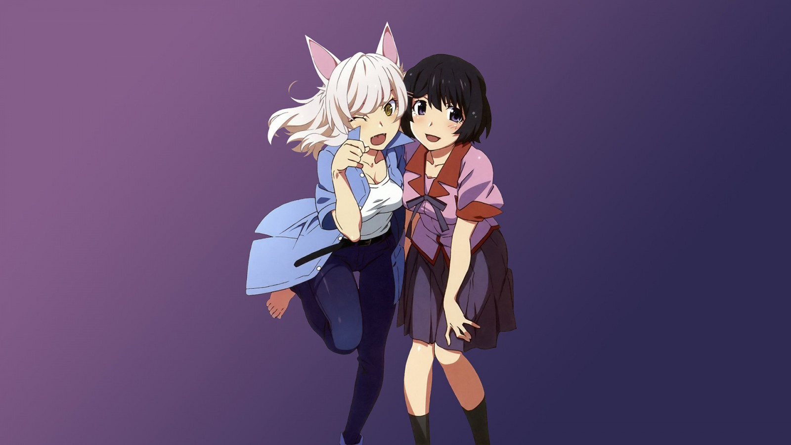 ilustrace, Hanekawa Tsubasa, Monogatari Series, anime, kočka dívka, figurka, mangaka