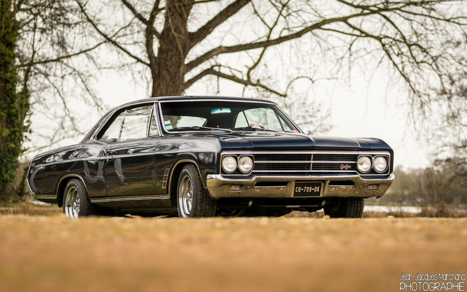 auto, starý, modrý, cars, auto, sport, Amerika, Buick, Nikon, automobil, sval, automotive, americký, babička, auta, oldies, oldcars, gs, 70200, F28, Rennes, V8, závoďák, skřivan, apign, americancar, bluecars, Rassemblement, Etangs, Vr1, D7100, worldcars, nikonpassion, alltypesoftransport, papa35, Skylarkgransport