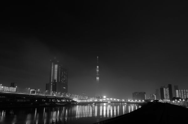 Japan,monochrome,city,cityscape,night,architecture