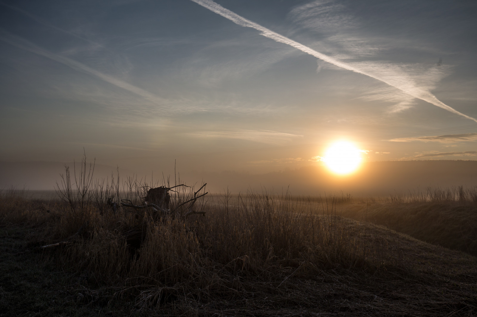 slunečnímu záření, stromy, krajina, světla, barvitý, les, Černá, západ slunce, Příroda, tráva, nebe, rostliny, pole, dřevo, svítání, uklidnit, zelená, žlutý, modrý, večer, ráno, Německo, mlha, slunce, Kánon, oranžový, horizont, šátek, náměstí, atmosféra, Slunný, soumrak, denní světlo, letadla, Drsný, Bavaria, Němec, TR, F4, světlo, barva, mrak, strom, mlha, flickr, západ slunce, Landschaft, svítání, rostlina, Sluneční svit, nebe, natur, deutschland, letadlo, přistát, Sonnenaufgang, 6d, dnes, prostý, vrbový prut, bayern, sonnenuntergang, Farben, mraky, syn, squareformat, denně, formát, barevný, vollformat, sonnenstrahlen, naturephotography, zálesí, 1635, venkov, Atmosféra Země, astronomický objekt, Sonnenschein, sonnenlicht, jev, weitwinkel, ekoregion, farbig, Oberpfalz, flugzeuge, Monrninglight