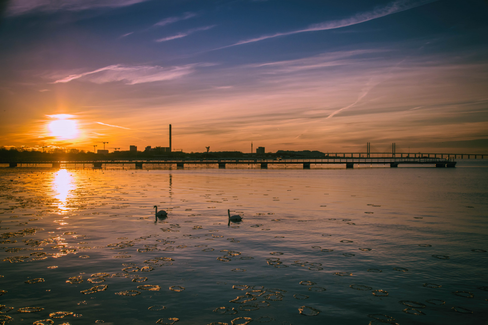 slunečnímu záření, barvitý, západ slunce, moře, město, voda, Příroda, odraz, nebe, zima, mraky, pláž, svítání, led, večer, ráno, most, slunce, labuť, horizont, Švédsko, soumrak, Sverige, Malm, Bro, mrak, je, svítání, venkovní, oceán, vlna, sk nel n, se, spegling, nebe, ribban, resund, pramen, solnedg ng, ribersborgsstranden, Horisont, outdor, resundsbron, Svan, brygga3, citysunset, hav, odlesk