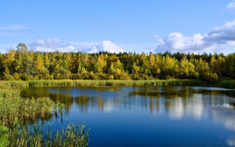 landschap, Bos, meer, water, natuur, reflectie landschap, Bos, meer, water, natuur, reflectie