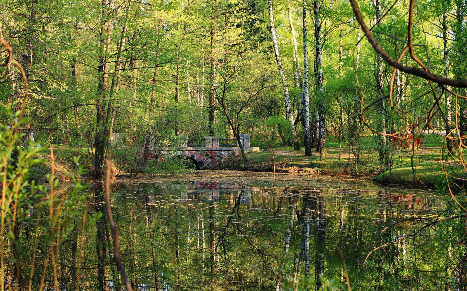 Bakgrundsbilder : landskap, skog, sjö, natur, reflexion, flod, vildmark ...