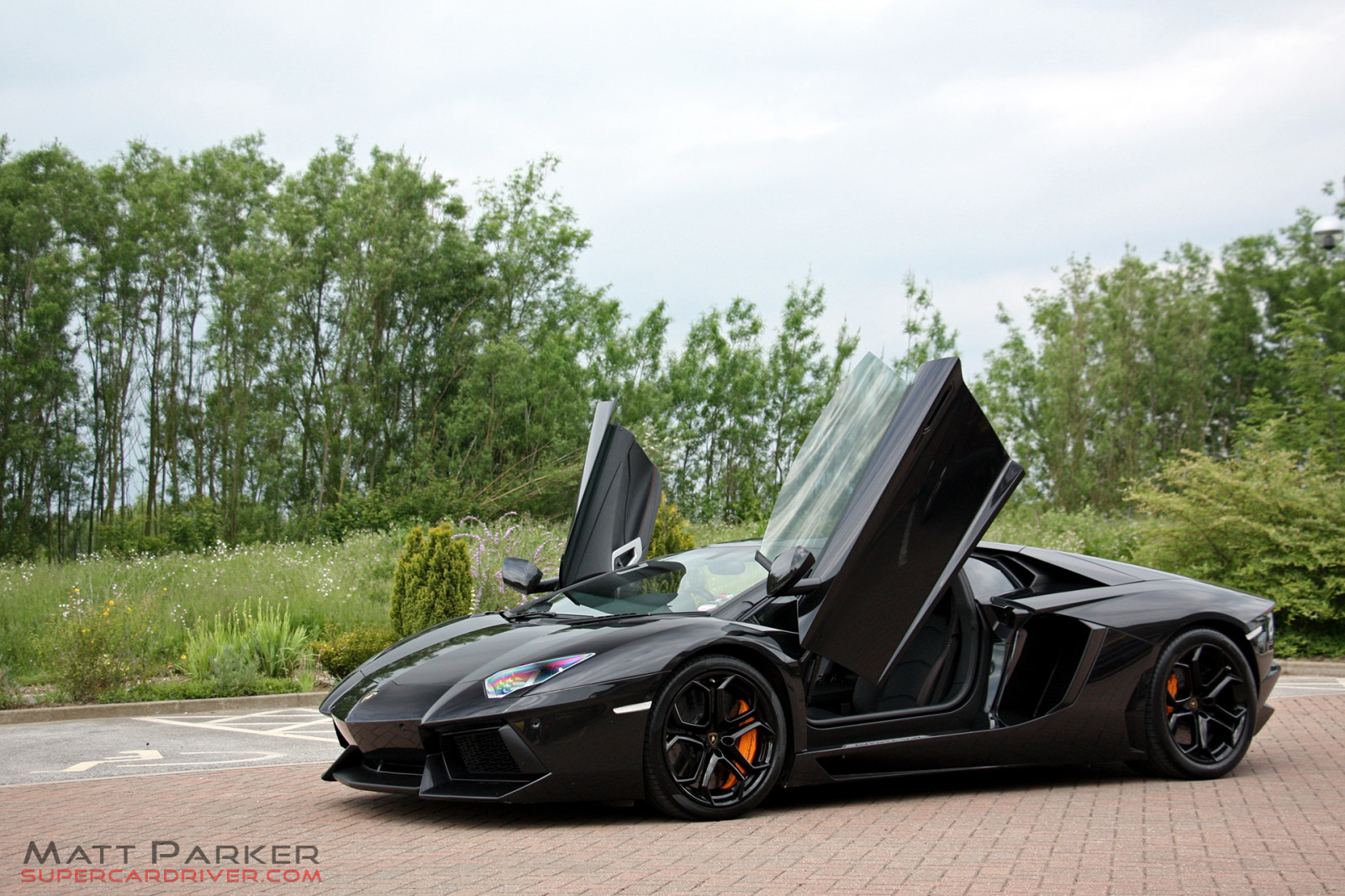 ยานพาหนะบก, รถ, ยานพาหนะ, รถสปอร์ต, ซูเปอร์คาร์, Lamborghini Aventador, การออกแบบยานยนต์, Lamborghini, ยานยนต์, รถหรู, ล้อ, ประสิทธิภาพรถ, ภายนอกยานยนต์, automotive wheel system, ถนน, Lamborghini Gallardo, ขอบ