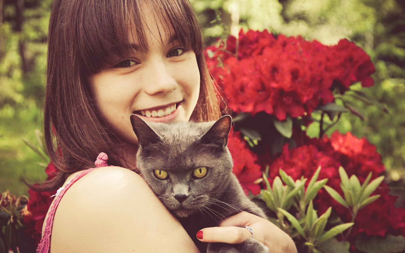 cat, animals, women, red, photography, nose, emotion, skin, autumn, child, flower, girl, beauty, eye, kitten, mammal, facial expression, cat like mammal, small to medium sized cats