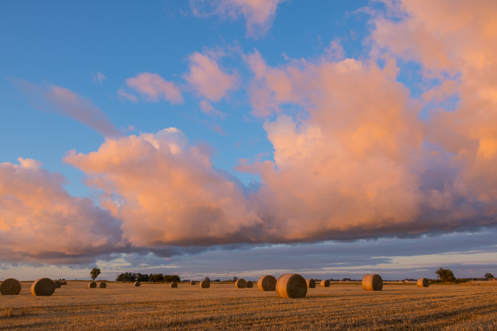 krajina, západ slunce, moře, kopec, nebe, pole, svítání, večer, ráno, horizont, soumrak, plošina, step, mrak, svítání, lučina, zlatá hodina, nebe, solnedg ng, moln, s dersl tt, landskap, exif modelu canoneos760d, geocountry, Kamera aby kánon, geocity, Model fotoaparátu canoneos760d, geostate, geolocation, EXIF čočka efs18200mmf3556is, EXIF otvor 56, exif aby kánon, EXIF isospeed 100, exif focallength 18mm, s dra od, halmrulle, gyllenetimmen, stéblo, rohlíky, strawrolls, zemědělství, prostý, prérie, venkov, atmosférický jev, meteorologický jev