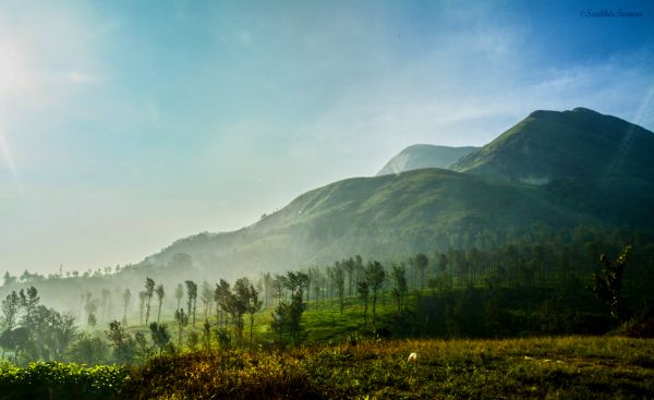 sunlight,landscape,hill,forest,mountains,nature