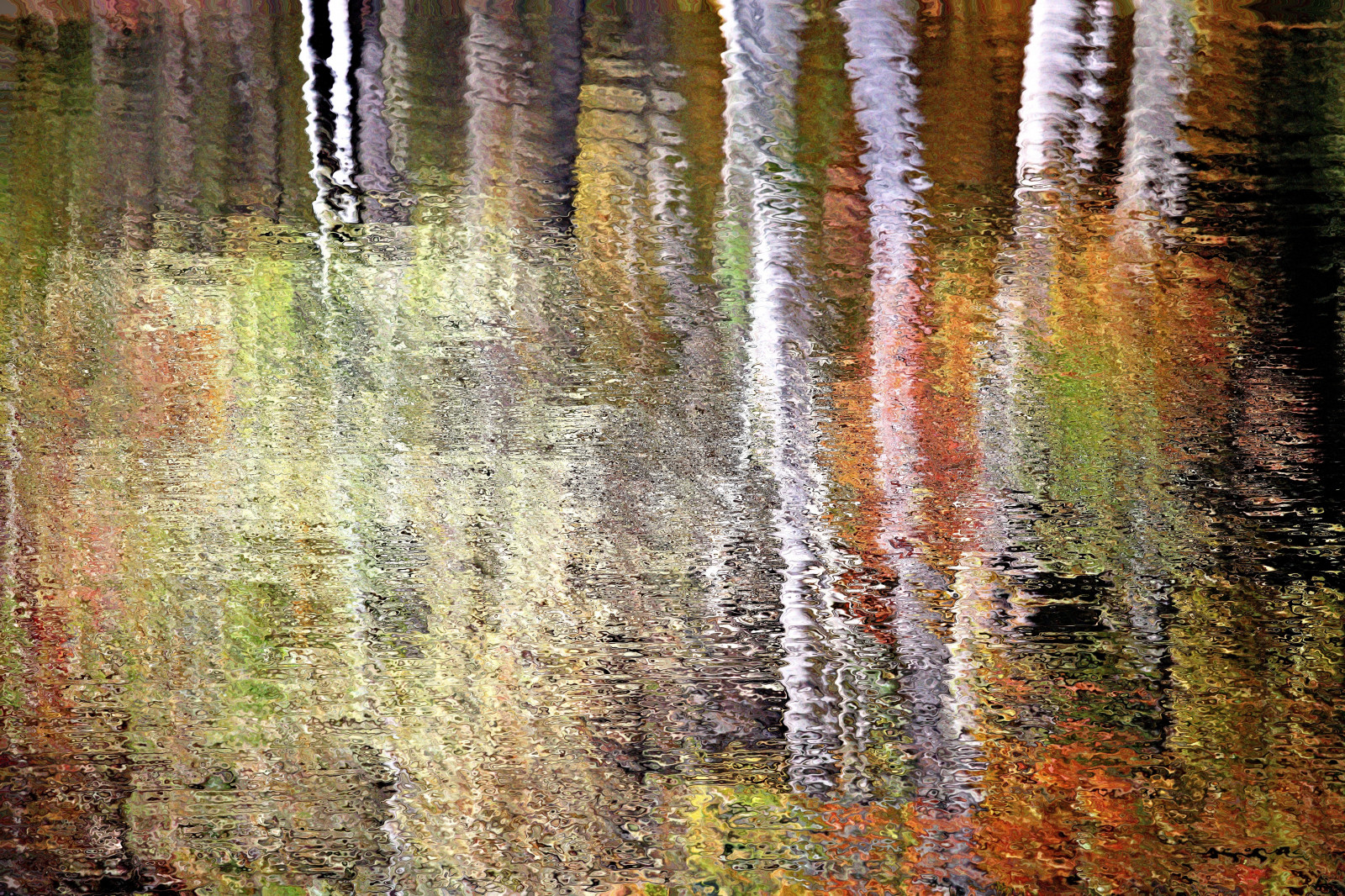 Fondos de pantalla : otoño, abstracto, colores, saturado, vistoso ...