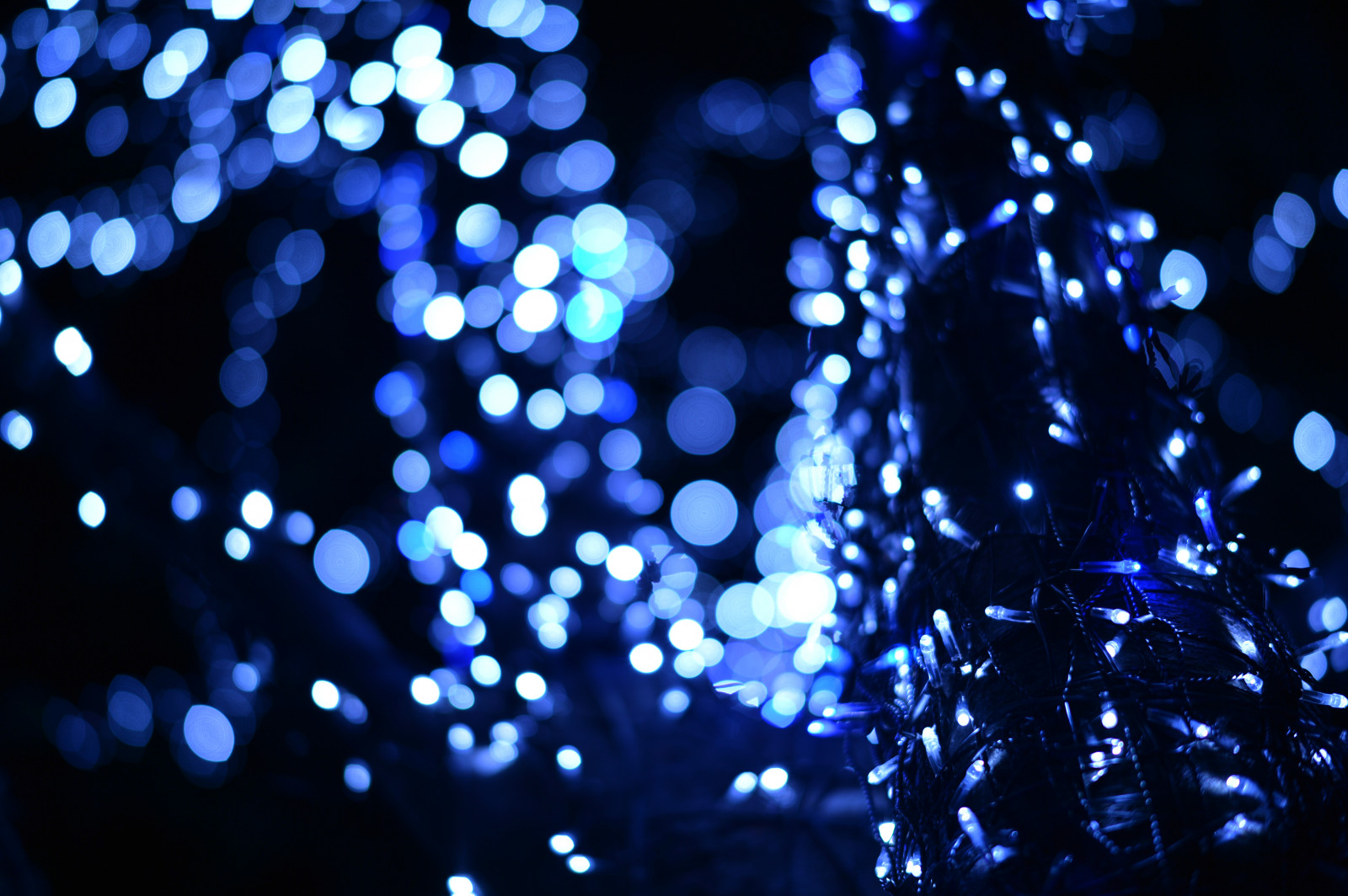 Japonsko, slunečnímu záření, noc, odraz, modrý, kruh, Nikon, Vánoční osvětlení, Tokio, jp, světlo, NIKKOR, osvětlené, osvětlení, osvětlení, tma, df, Roppongi, keyakizaka, afs58mmf14g, afsnikkor58mmf14g, osvětlit, počítač tapeta, vánoční dekorace