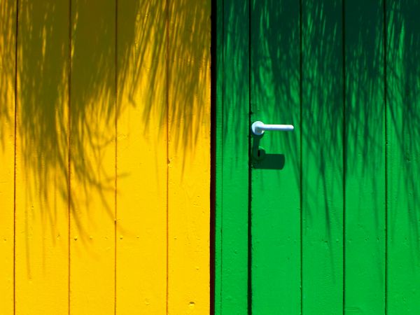 warna-warni, rumput, dinding, kayu, hijau, kuning