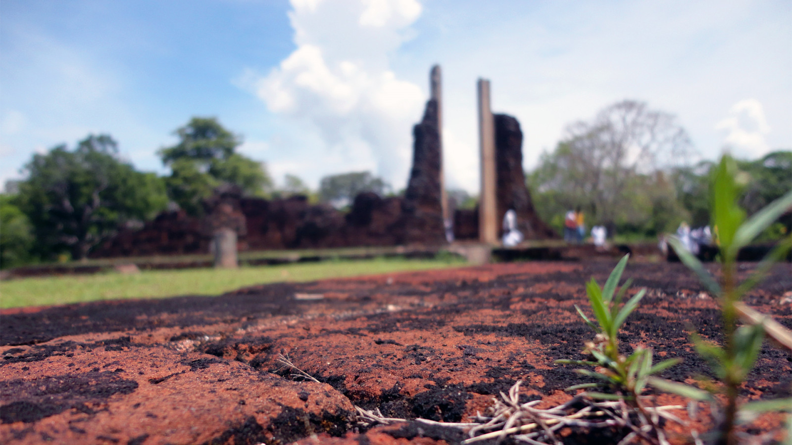 Wallpaper landscape, Sri Lanka, wall 1920x1080 Ozrox 1445311 HD