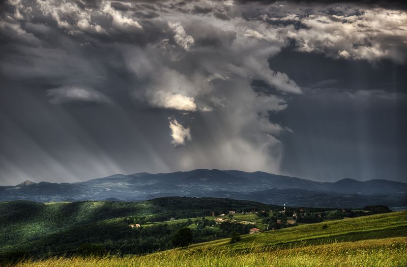 空,自然,草,雲,森林,風景