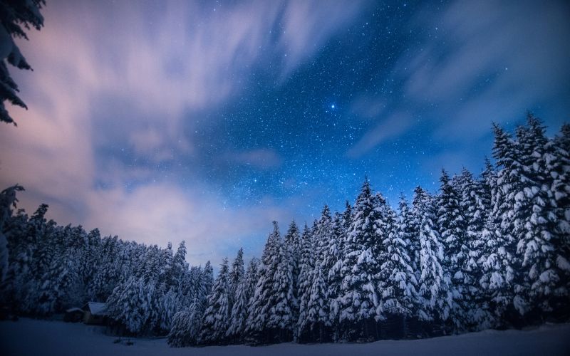 1920x1200 px, clouds, landscapes, night, sky, forest 1920x1200 px, clouds, landscapes, night, sky, forest
