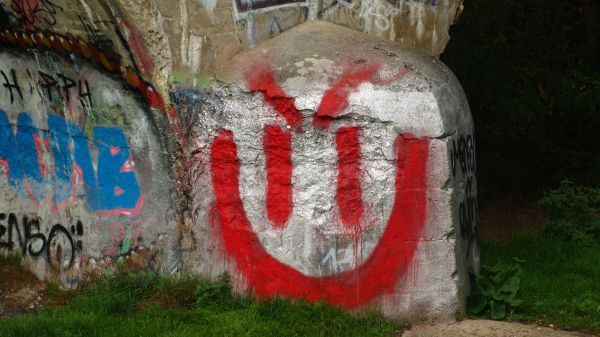 nature,architecture,industrial,graffiti,leaves