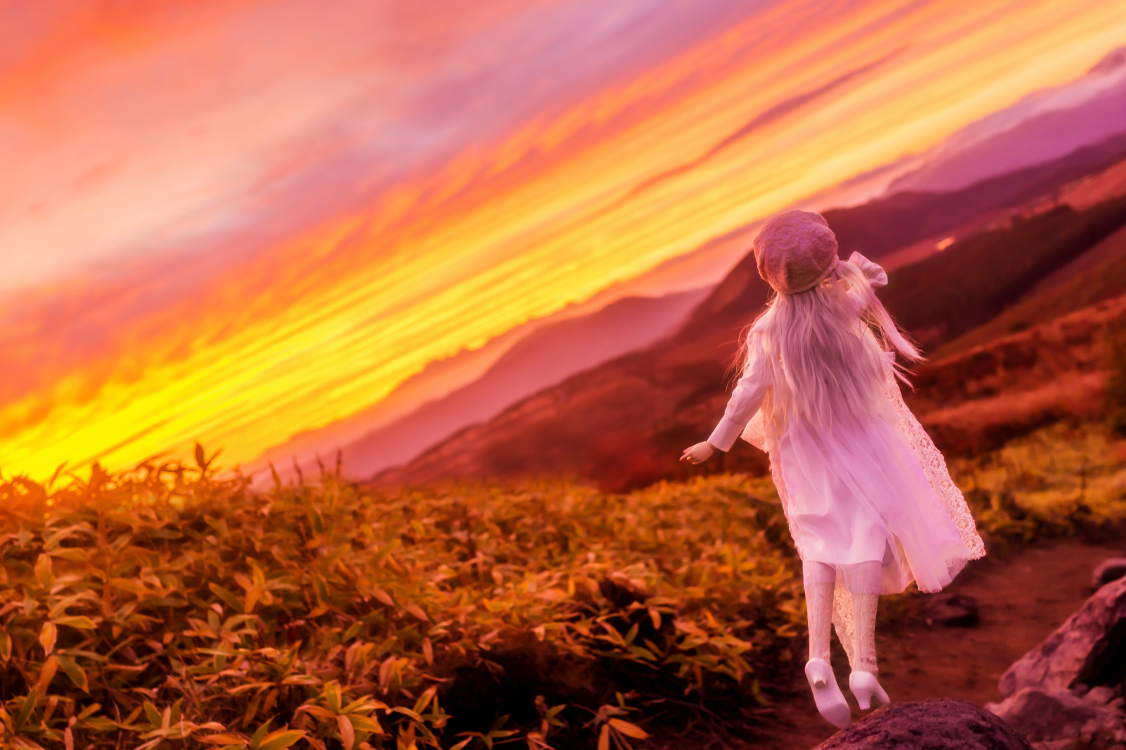 sollys, landskab, solnedgang, natur, græs, himmel, Mark, solopgang, aften, morgen, Sony, lykke, forår, RX1R, efterår, pige, dollfiedream, dd, computer tapet, græs familie, økoregion, dscrx1r, stock photography