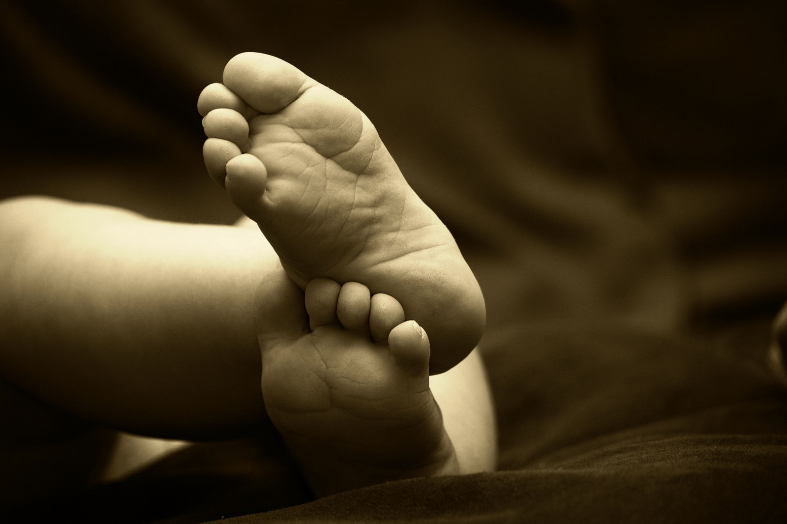 Černá, temný, milovat, nohy, fotografování, sépie, Nohy, Kánon, dítě, Radost, život, emoce, šťastný, štěstí, kůže, rodina, světlo, Krásná, dítě, děti, roztomilý, bratr, ruka, sladký, prst, noha, smysl, paže, syn, nevinný, Lidské tělo, zblízka, interakce