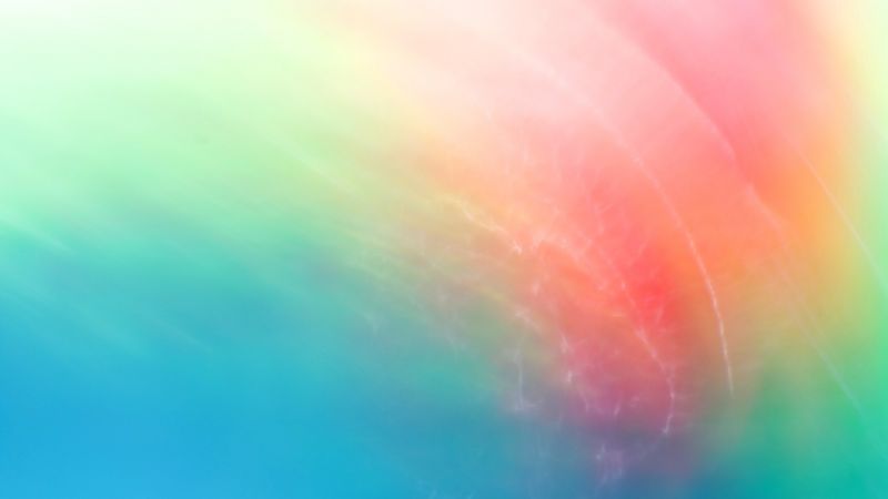 sinar matahari, warna-warni, abstrak, warna, bunga, Pelangi sinar matahari, warna-warni, abstrak, warna, bunga, Pelangi
