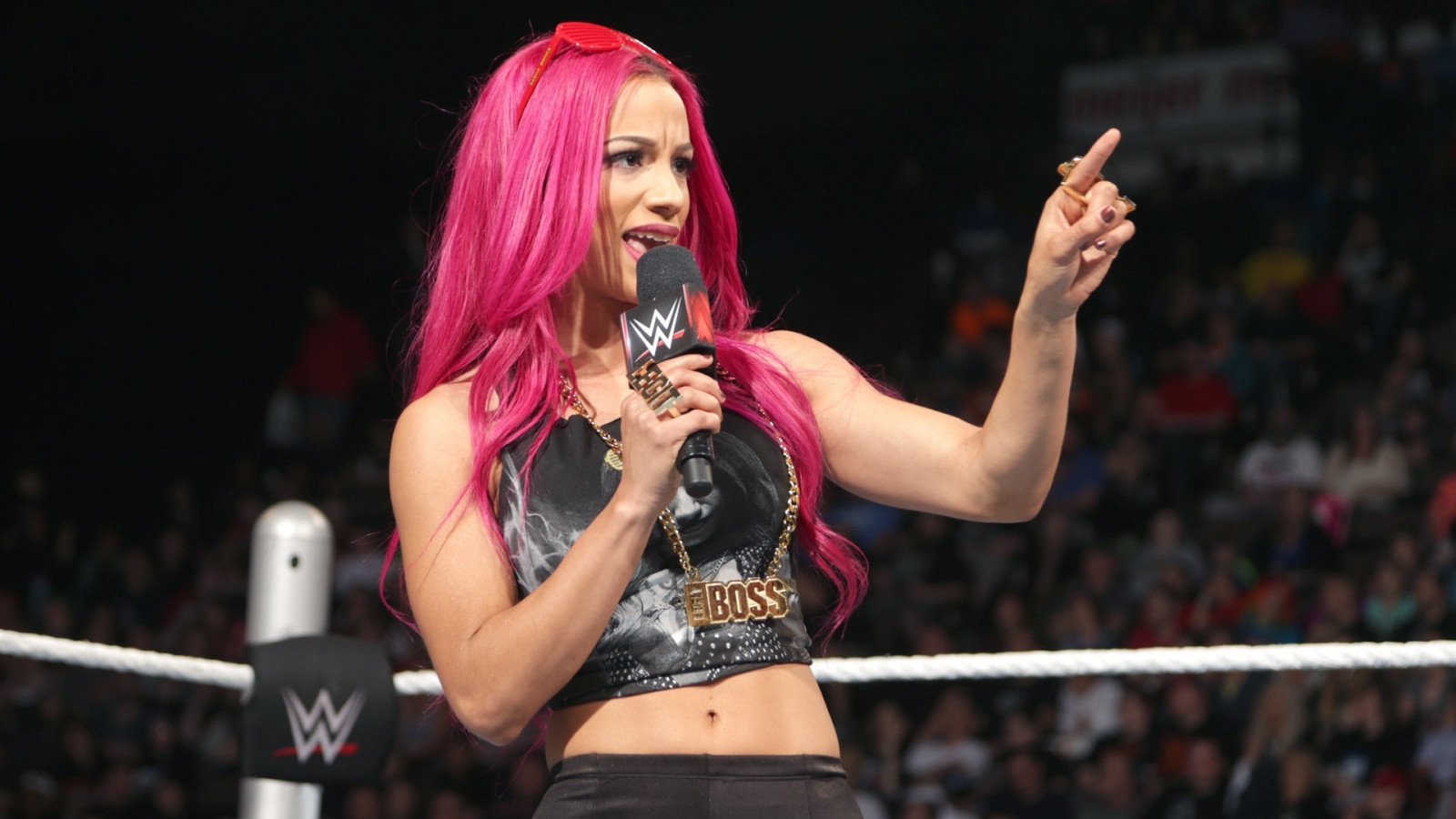 gli sport, capelli tinti, capelli viola, WWE, cantando, divertimento, lotta, Sasha Banks, prestazione, palcoscenico, concerto, Teatro musicale, performance art, arti dello spettacolo, wrestling
