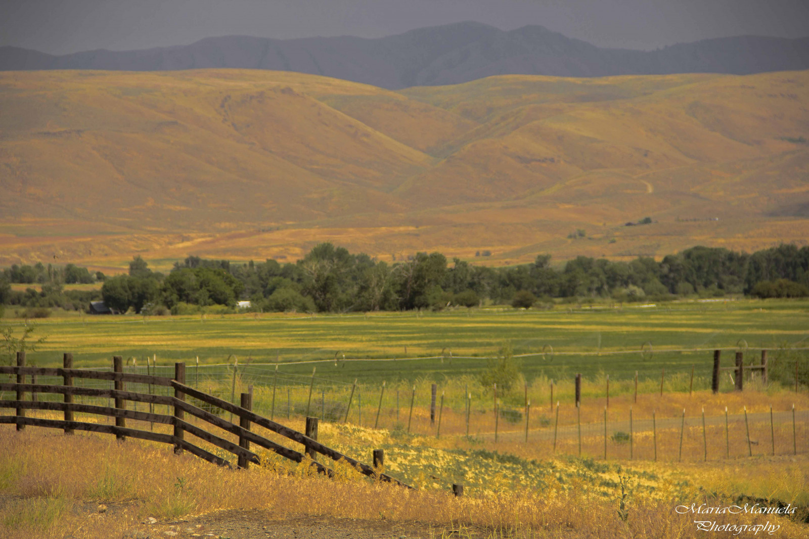 Árvores, panorama, montanhas, Colina, lago, Rocha, natureza, céu, campo, silhueta, nuvens, tempestade, Turismo, azul, manhã, penhasco, laranja, horizonte, vale, EUA, região selvagem, Oregon, liberdade, platô, ravina, estepe, Vista, Serenidade, tranqüilidade, sereno, viagem, montanha, Visão, vibrante, Retroiluminado, Pastagem, Atmosférico, formação rochosa, pasto, agricultura, Prado, aventura, avião, tirar o fôlego, Paisagens, Cênico, Estados Unidos, América do Norte, pradaria, Mariamanuelaphotography, Destino de viagem, Visitoregon, solo, área rural, habitat, ambiente natural, Fenômeno atmosférico, Formas de relevo montanhosas, característica geográfica, Ecossistema, Família da grama, Savana, Encosta, Mesmo caminho, Vista elevada