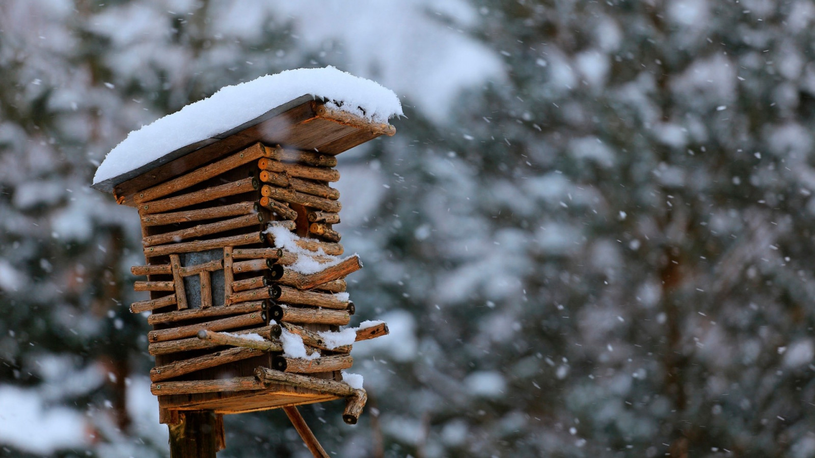 Wallpaper nature, snow, winter, wood, branch, Freezing, birdhouses