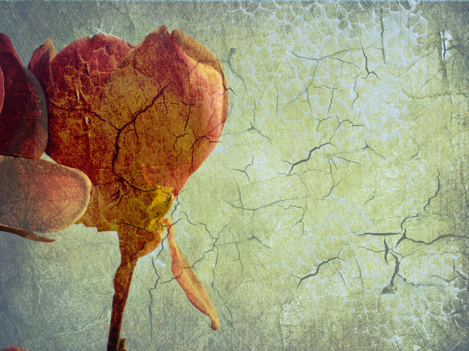 malování, ilustrace, žlutý, textura, květ, jaro, UMĚNÍ, list, květ, sakura, malovat, magicunicornverybest, victoriabc, počítač tapeta, moderní umění, akrylová barva, zátiší fotografování, akvarel barvy, sakurahanami, visual arts