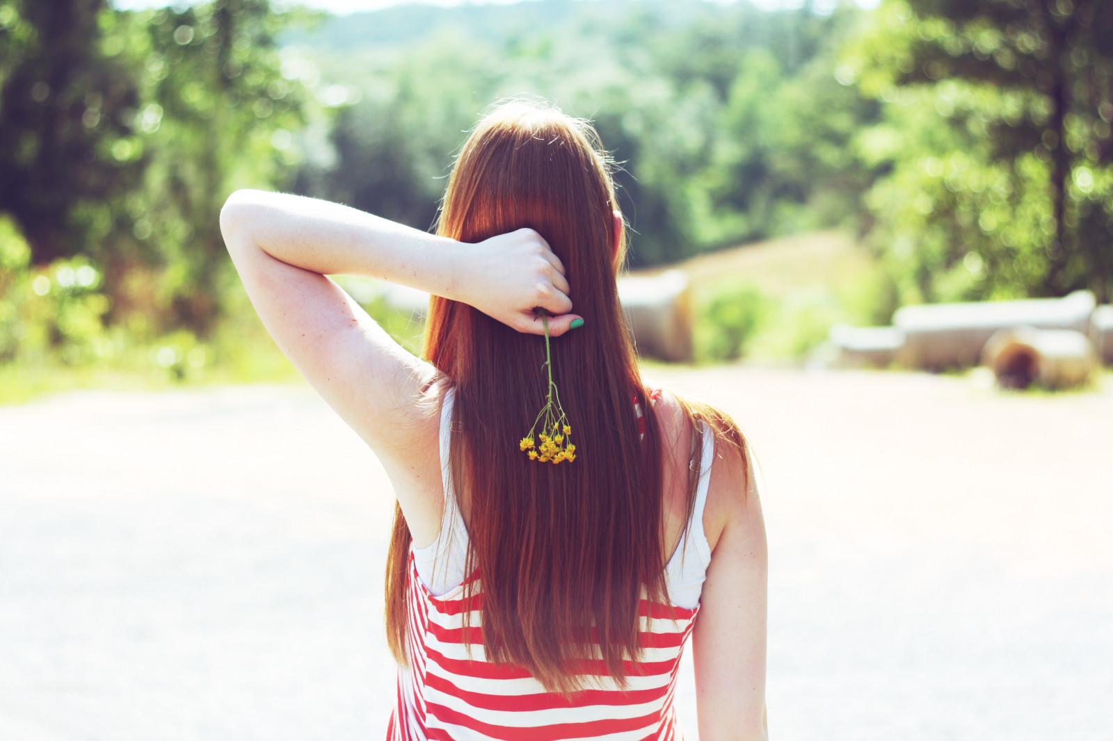 světlo, Červené, inspirace, květ, dívka, Kánon, rebel, 50mm, jasný, bokeh, pruhy, mj, molly, ryšavý, Vočko, manuál, xs, f18