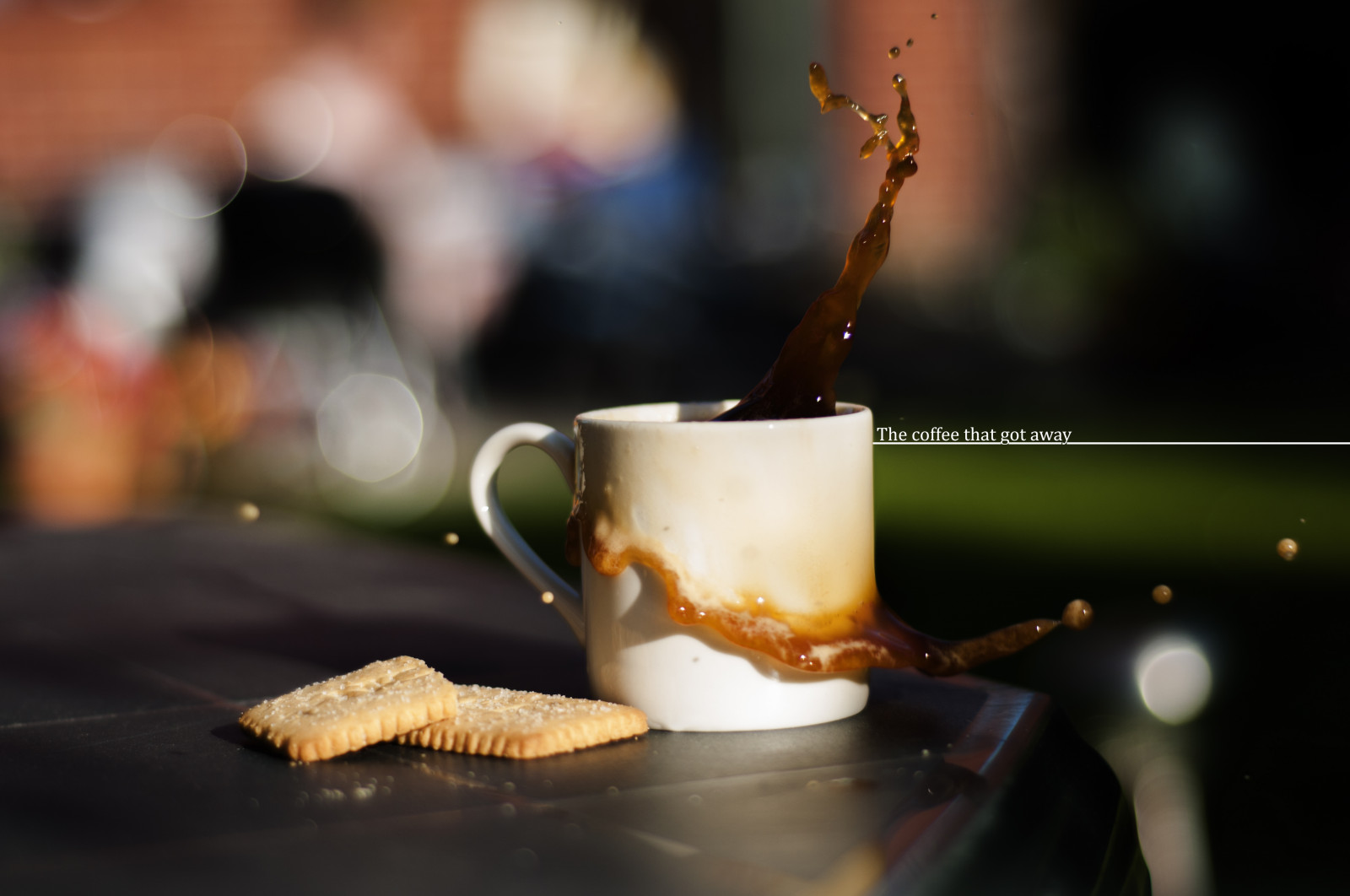 Getränk, Tasse, Stillleben Fotografie, Geschmack, Dessert
