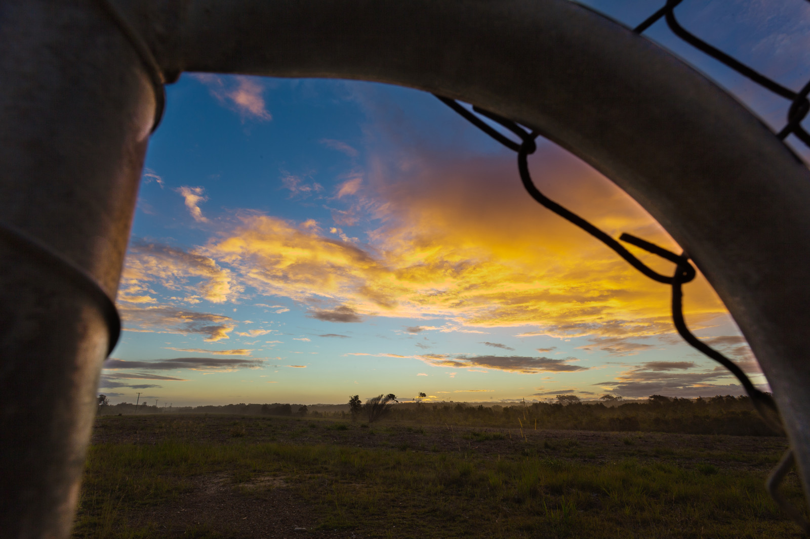 himmel, Sky, solopgang, morgen, sollys, horisont, meteorologisk fænomen, træ, landskab, solnedgang, daggry, aften