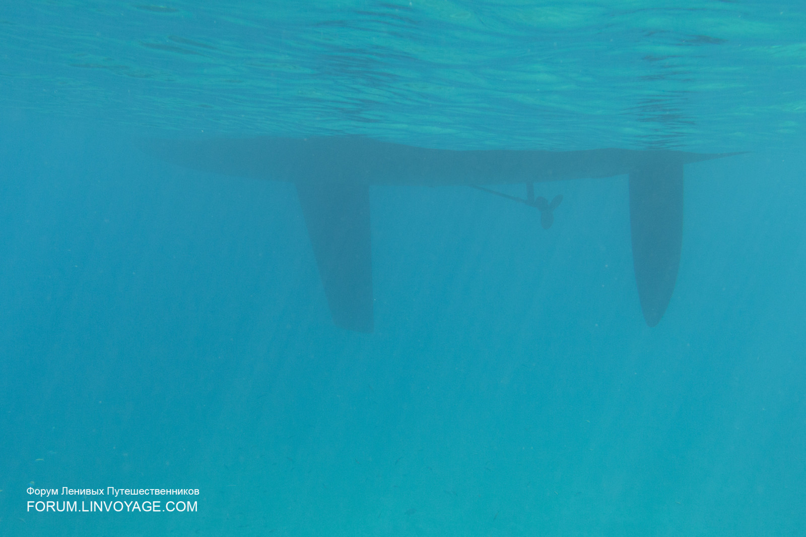 paesaggio, persone, nave, barca, mare, roccia, natura, puntellare, sabbia, spiaggia, pesce, tempesta, costa, subacqueo, vento, isola, pietra, yacht, Tailandia, pesca, delfino, biologia, all'aperto, oceano, onda, mare, gocciolina, Phuket, phuketian, vela, Similan, phuketphotographernet, forumlinvoyagecom, httpforumlinvoyagecom, tuffatore, apneista, mammifero, vertebrato, biologia marina, mammifero marino, delfini balene e focene