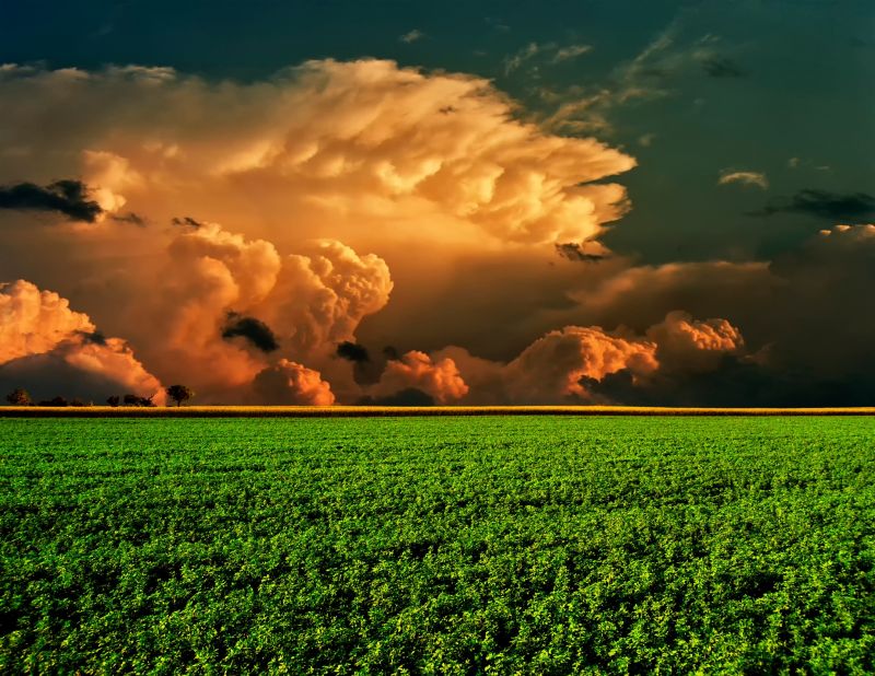 sunlight, landscape, sunset, nature, grass, sky sunlight, landscape, sunset, nature, grass, sky