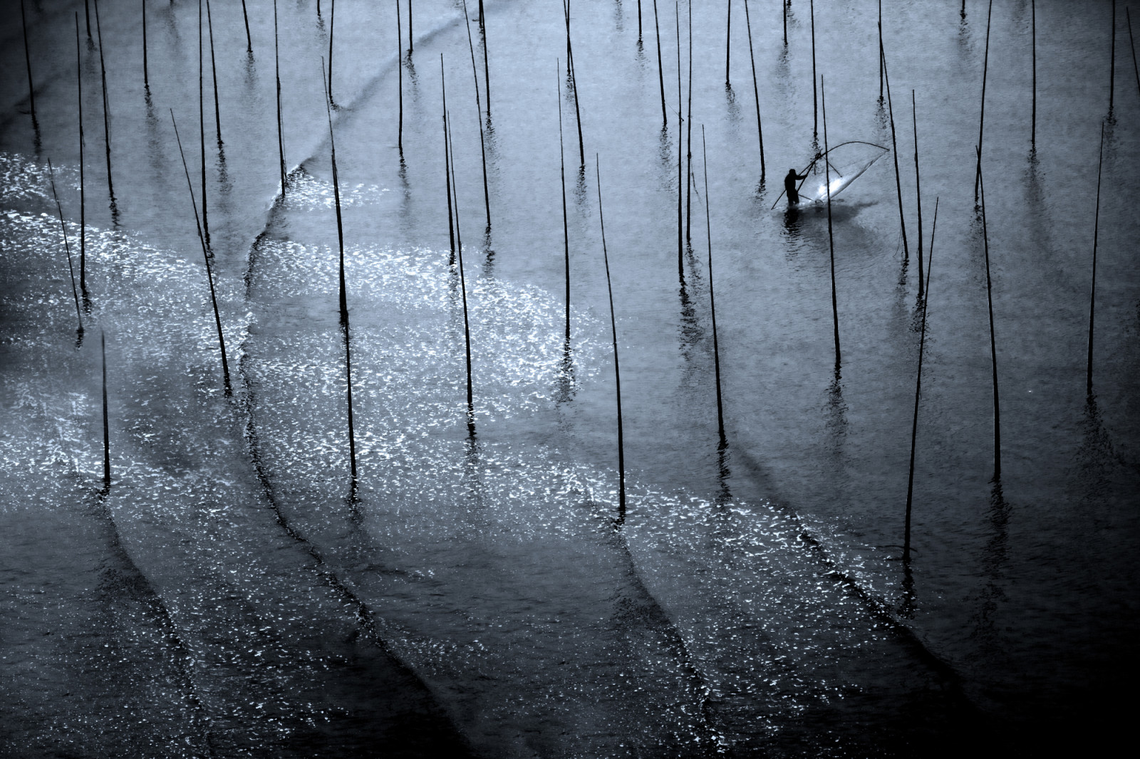 Xiapu, fujianprovince, Čína, síť, Ryba, odliv, eastchinasea, heartawards, národní geografie, flickrbronzeaward, flickrsgottalent, flickraward, peaceaward, flickridol, angelawards, hezký snímek, betterthangood, spiritofphotography, superphotographer, 469photographer, goldstarawardlevel1, flickrhearts, contactaward, thebestshot, beautifulshot, flickrestrellas, Polárka, zářící hvězda, photographerparadise, artofimages, doubledragonawards, diamondheart, grouptripod, flickrsun, avpa, flickrsheaven, goldenplanet, totaltalent, harmonie, betterthangoodlevel2, divinecaptures, ultimategold, mycivilization, poppyawards, třída, doublestaraward, brilliantphotography, fireworksofphotos, imperialimages, thebestvisions, artistsoftheyear, goldenmix, gaveyachills, topseven, fabulousplanetevo, bestpeopleschoice, fotky, discoveryphotos, dazzlingshots, mygearandme, musictomyeyes, doublyniceshot, allxpressus, thebestshots, fotoartcirclelevel1