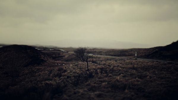 landscape,hill,nature,grass,road,calm