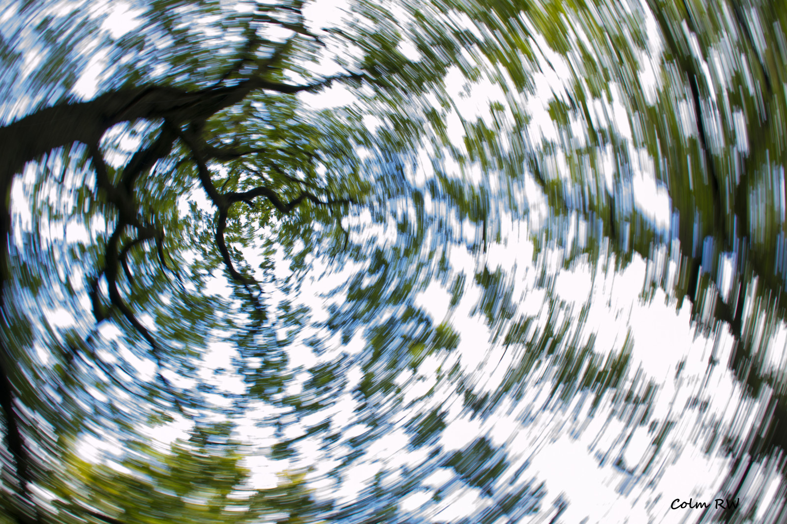 Hintergrundbilder Sonnenlicht Wald Wasser Natur Betrachtung Gras Hintergrundbilder Sonnenlicht Wald Wasser Natur Betrachtung Gras