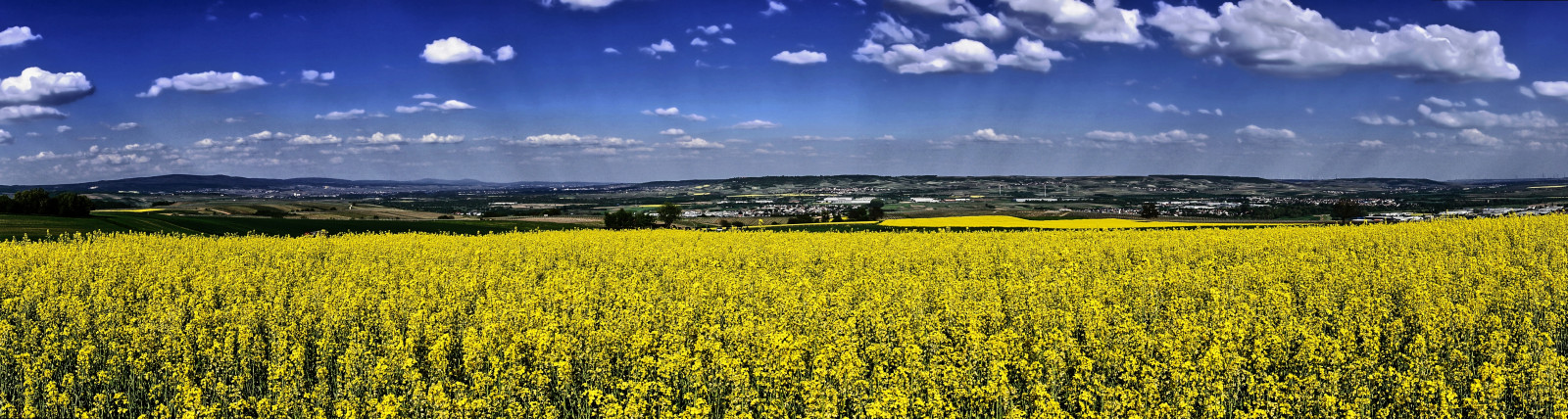 sollys, landskab, græs, himmel, udendørs, Mark, skyer, gul, blå, gård, Sony, panorama, forår, mount landskaber, luft, Vista, Airy, Raps, Sky, scene, skygger, gå, dag, udsigt, græsarealer, vandretur, barn, græs, rapper, sti, raps, mor, mamma, landbrug, eng, almindeligt, mødre, A6000, wildflower, prærie, afgrøde, landdistrikt, computer tapet, fremstille, græs familie, kål, cumulus, sennep plante, Brassica rapa, sennep og kål familie, parchmankid, økoregion, Parchman, mor, mødres, muti