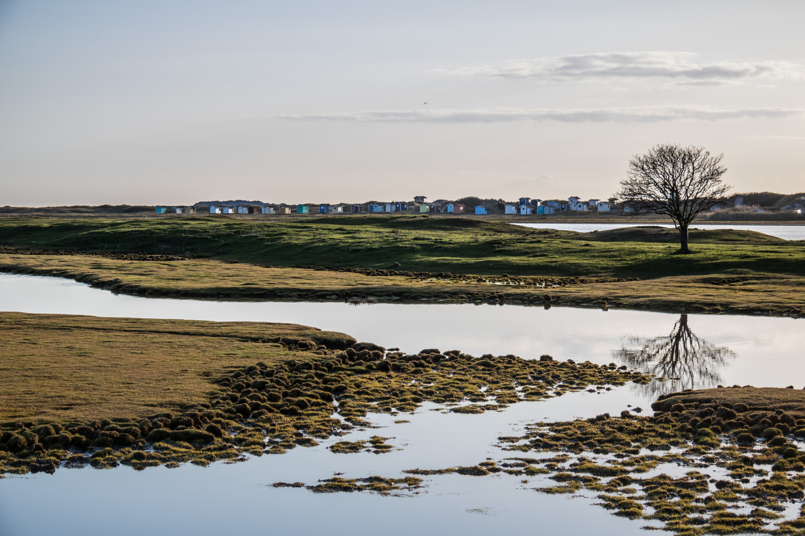 krajina, moře, záliv, jezero, voda, Příroda, pobřeží, odraz, uklidnit, ráno, pobřeží, řeka, divočina, Klid, mokřadní, klid, strom, spegling, vatten, tr d, Skan r, landskap, exif modelu canoneos760d, geocountry, Kamera aby kánon, geocity, Model fotoaparátu canoneos760d, geostate, geolocation, EXIF čočka efs18200mmf3556is, exif aby kánon, EXIF isospeed 100, EXIF otvor 80, exif focallength 50mm, nádrž, bažina, jezero, venkov, místo výskytu, přírodní prostředí, geografický rys, ústí