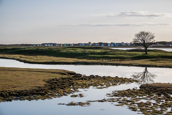 landscape,sea,bay,lake,water,nature